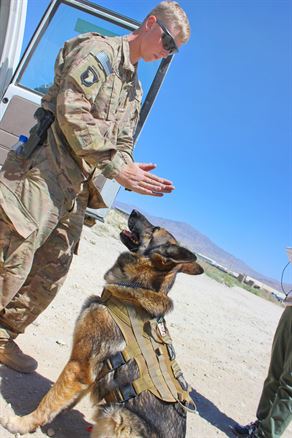 U.S. Army Spc. Craig Holbrook and Niko