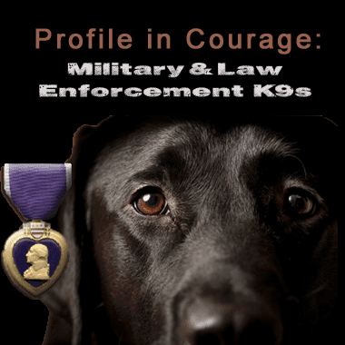 Profile in Courage: Military and Law Enforcement K9s