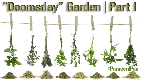 Ten Great Medicinal Herbs for Prepping Your “Doomsday” Garden (Part I)