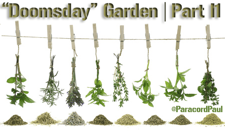 Ten Great Medicinal Herbs for Prepping Your “Doomsday” Garden (Part II)